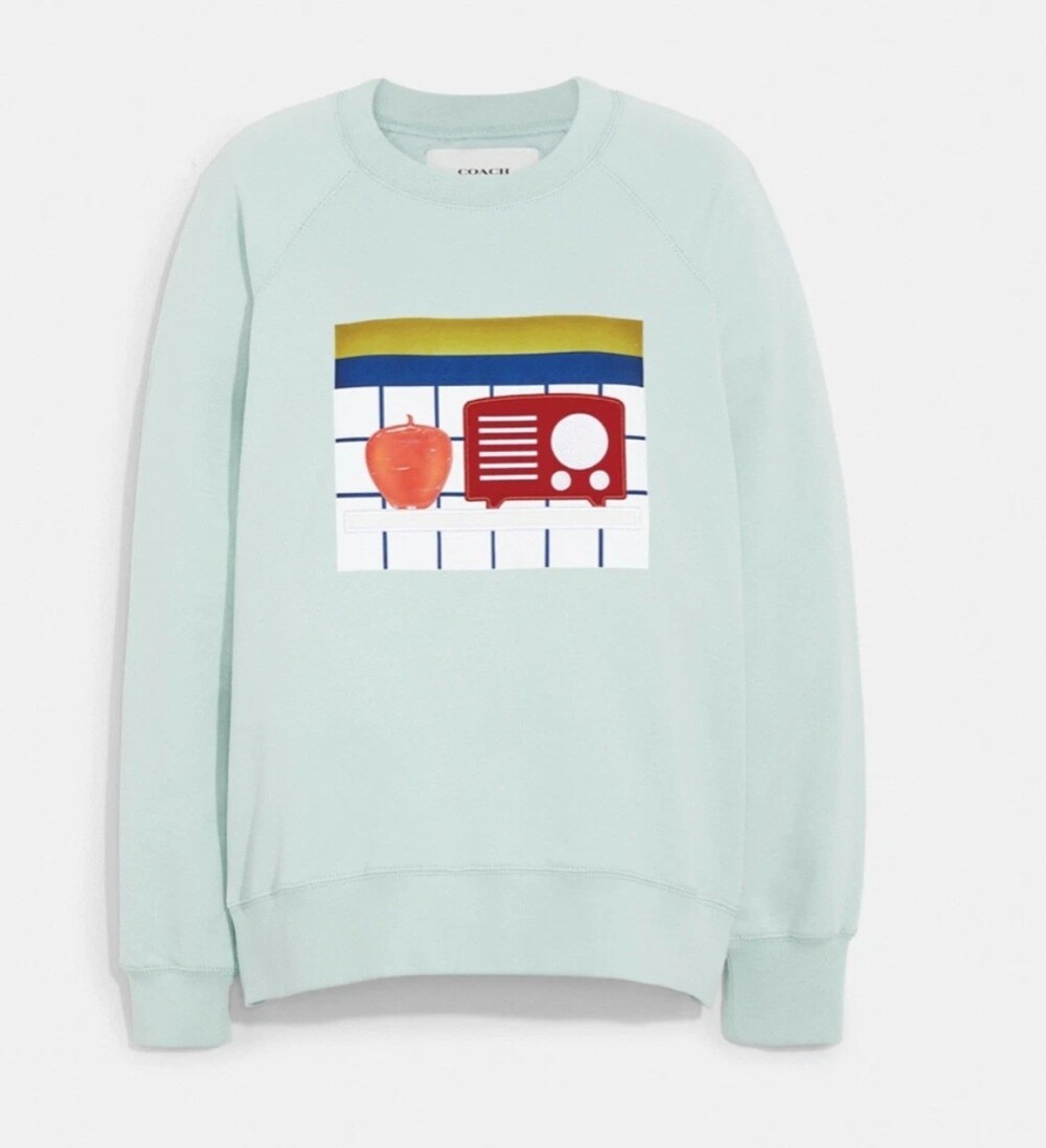 Coach X Tom Wesselmann Mint Green Sweatshirt Pullover Organic Cotton Women S HTF